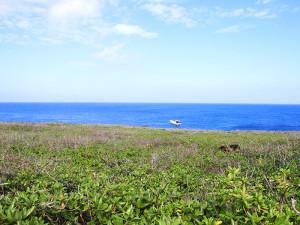 カナン崎ドームに停泊するダイビングボート「あかじん2」