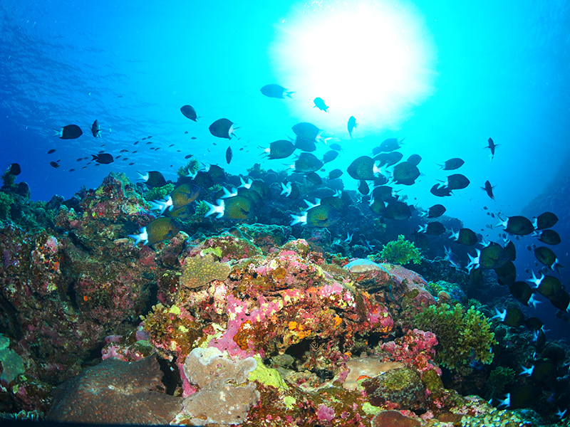 11月伊江島の海