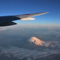 JALの翼と富士山