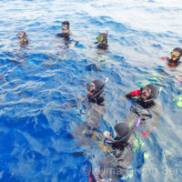 熊本大学・熊本県立大学ダイビング部