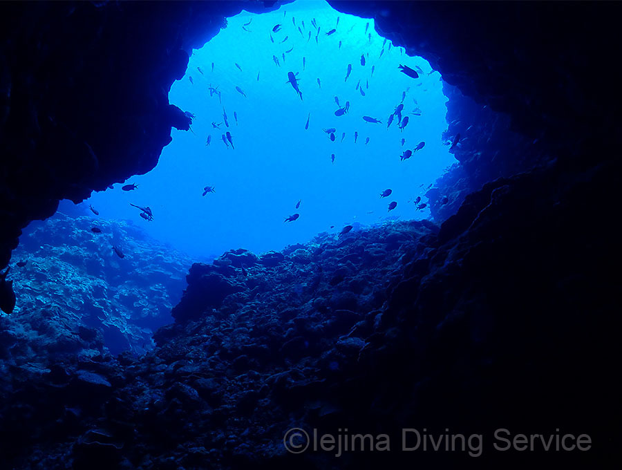 伊江島北側のダイビングポイントは洞窟が多い