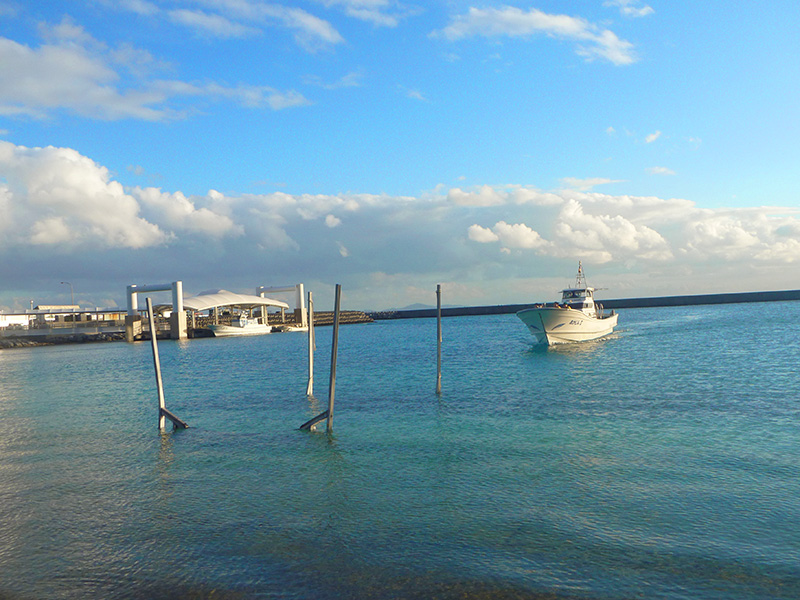 ダイビングボートを(回航してきた