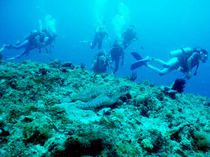 ダイビングポイント2006年夏合宿