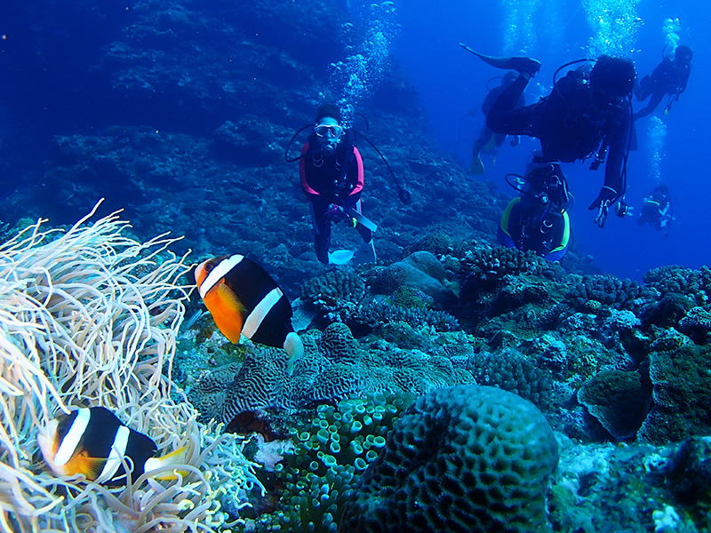 伊江島でマラソン&ダイビング