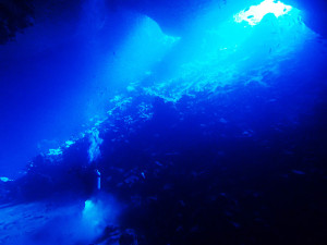 伊江島 GWのダイビング