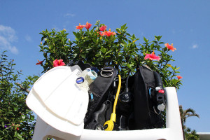 レンタル器材とハイビスカス