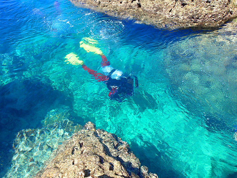 ワジー 夏のダイビング
